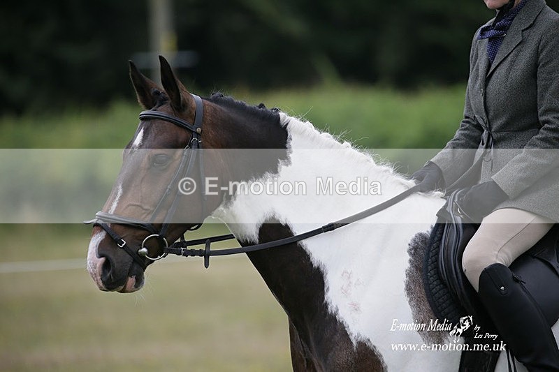 BVRC 030721 823 - Bourne Valley Riding Club Dressage 03/07/21