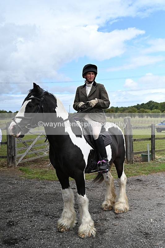 WJ7_6771 - Berks & Bucks at Blandy’s Farm 31-08-25
