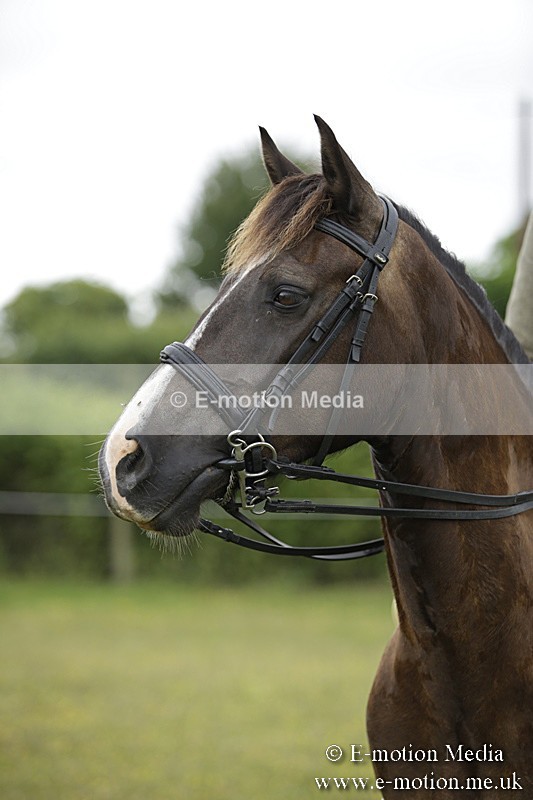 BVR160717-1348 - Ring 1 BVRC Show 16/07/17