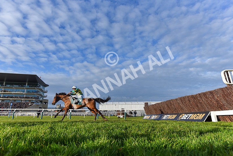 141224-Race 4-In Excelsis Deo-9430 - Race 4