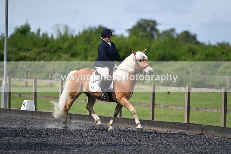 WJ5_9227 - Time 10:10 to 10:47