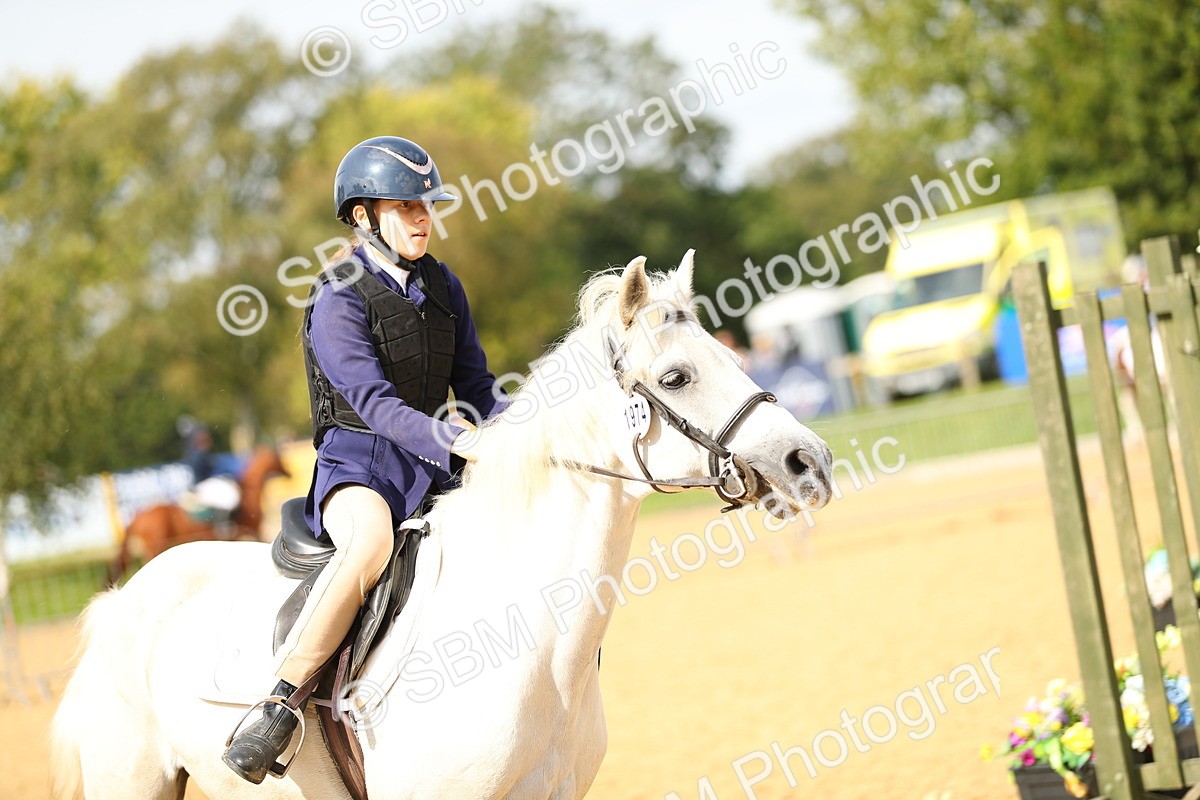 SBM_66035 - J17 - Junior Pony 80cm Championship