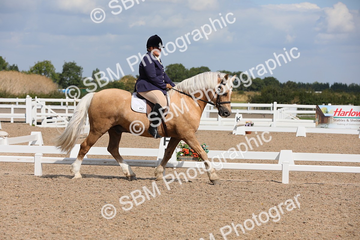 SBM_04025 - Class 31 Prelim 1