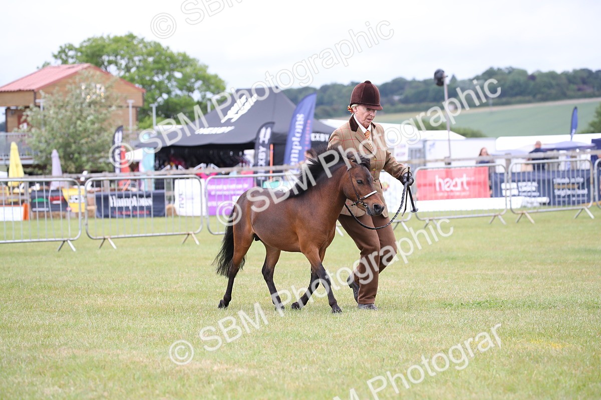SBM_03765 - Class 23-25 - British Miniature Horse of the Year