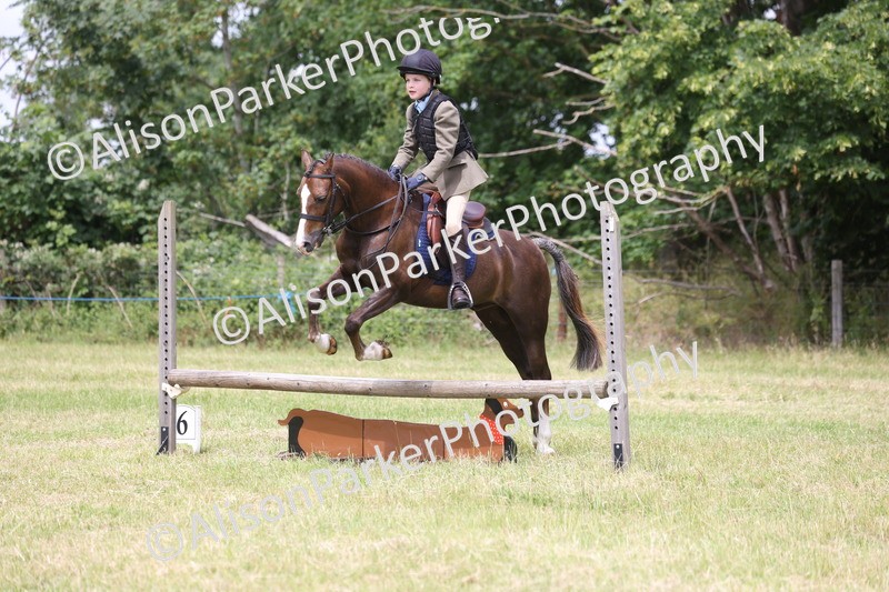 20260614-2852 - Class 22 - Open Working Hunter