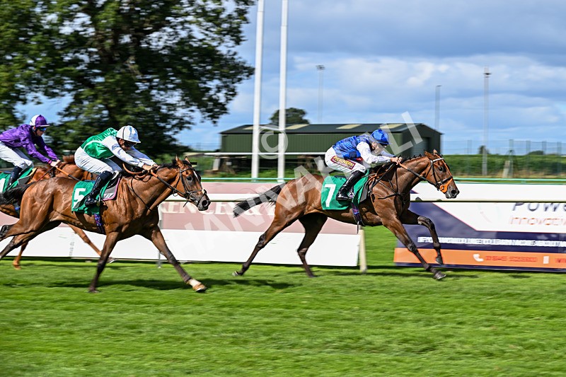 050926-Race 1-Prince Kameo-2599 - Race 1 1.35pm Personal Touches Day Of Elegance Nursery Handicap