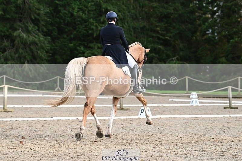 231110-153025-02223 - Cls 11 FEI PSG