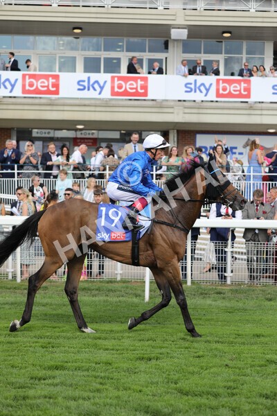 yr20082022r4-216 - Race 4 3.35pm Sky Bet Ebor