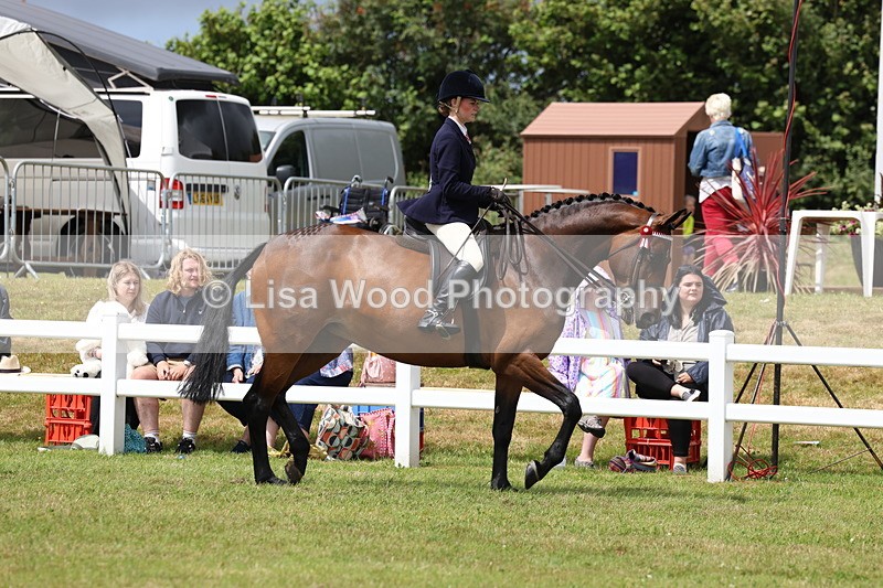 3E7A0856 - Class 8: Open Riding Horse/Hack