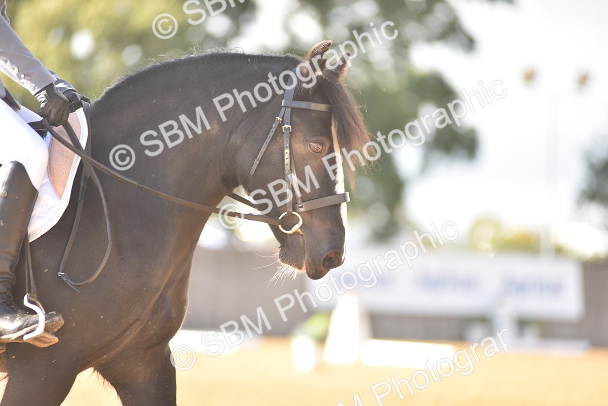 SBM_53208 - D24 - Junior Championship Prelim 3