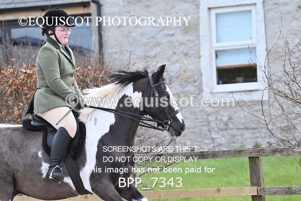 BPP_7343 - RING 1  (RIDDEN HORSES / IN HAND / VETERAN ETC)