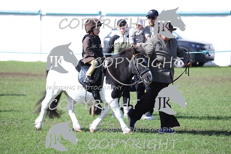 APP_3819 - Class 13 Lead rein