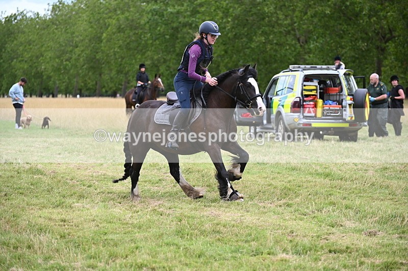 WJ6_5856 - Time at Jump 14:42 to 15:23