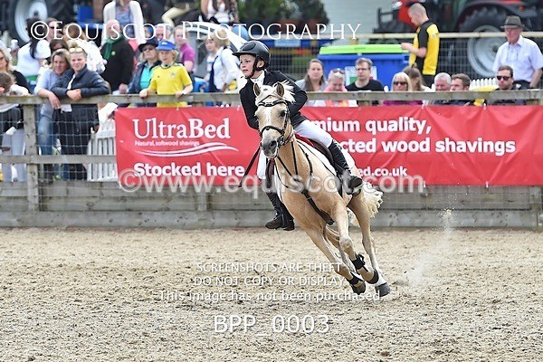 BPP_0003 - RHS 2019 Selection - *Just some random spectator shots so Lucky Dip if you are there!