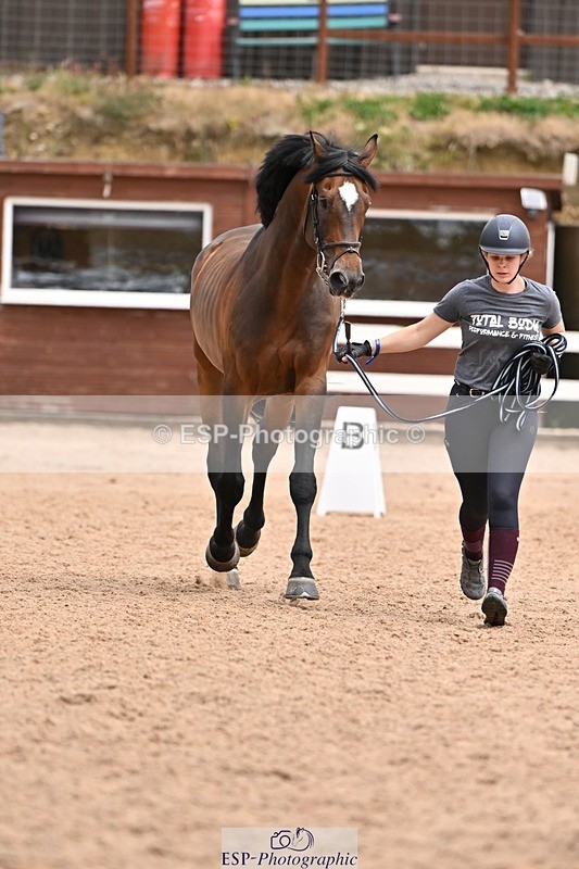 250716-145120-01448 - Trot Up 2.30 to 3.30
