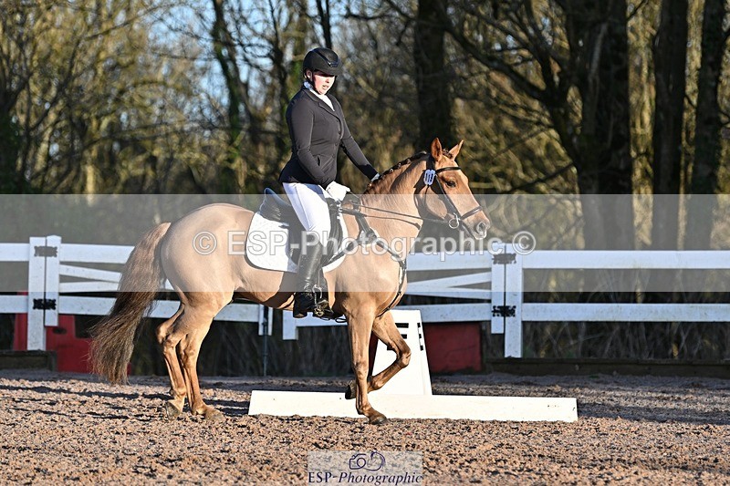 250125-090117-00005 - Dressage - CT Class 1 & 2 Intro 1