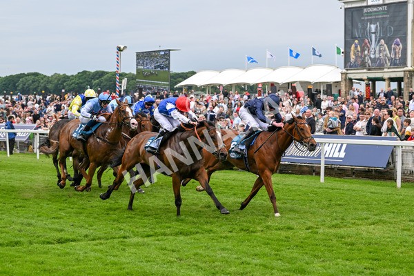 250524-Race 1-Tiriac-2689 - Race 1 1.35pm William Hill Keep Your Raceday Positive Handicap