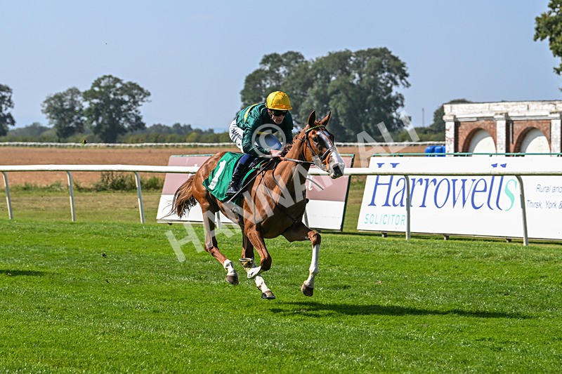 300824-Race 2-Consent-5722 - Race 2