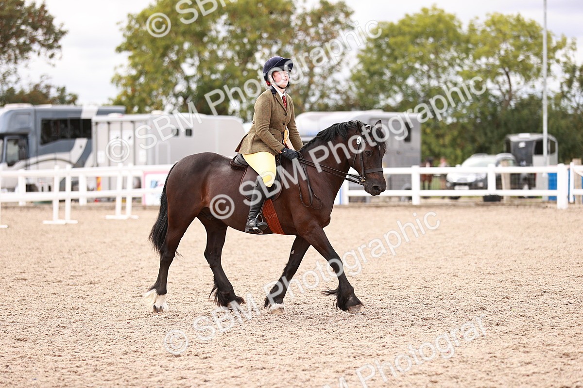 SBM_18415 - Class 418 - Best Condition - Jnr