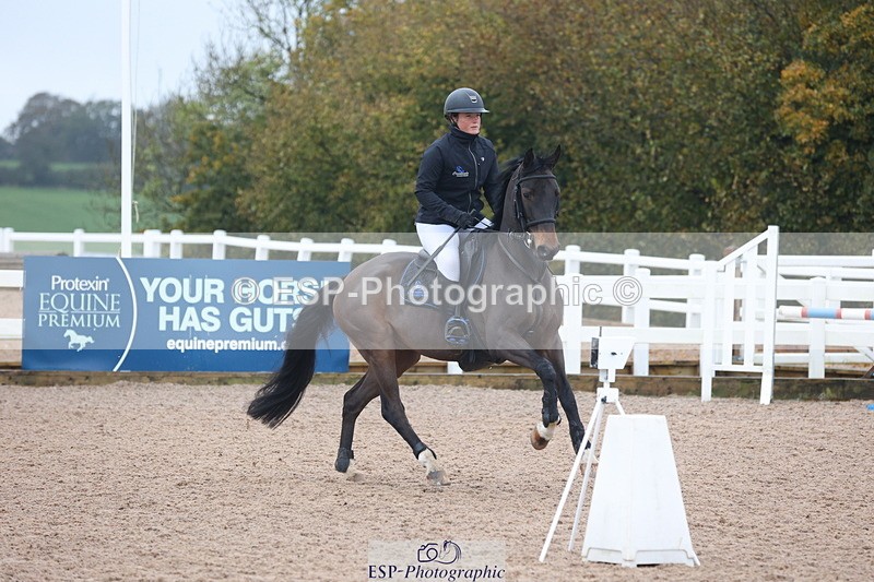 231112A-095224-03092 - Cls 17 Blue Chip Novice Winter Qualifier
