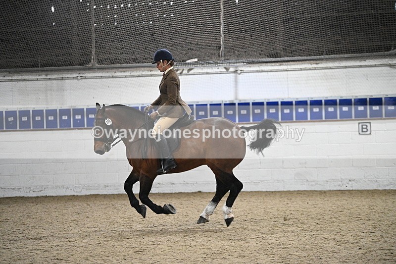 WJ7_4010 - Class 17 Ridden Cob