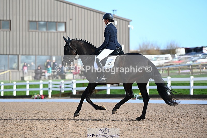 240218A-111753-06300 - 204-Elder.Klatzko-Dynasty.Hit