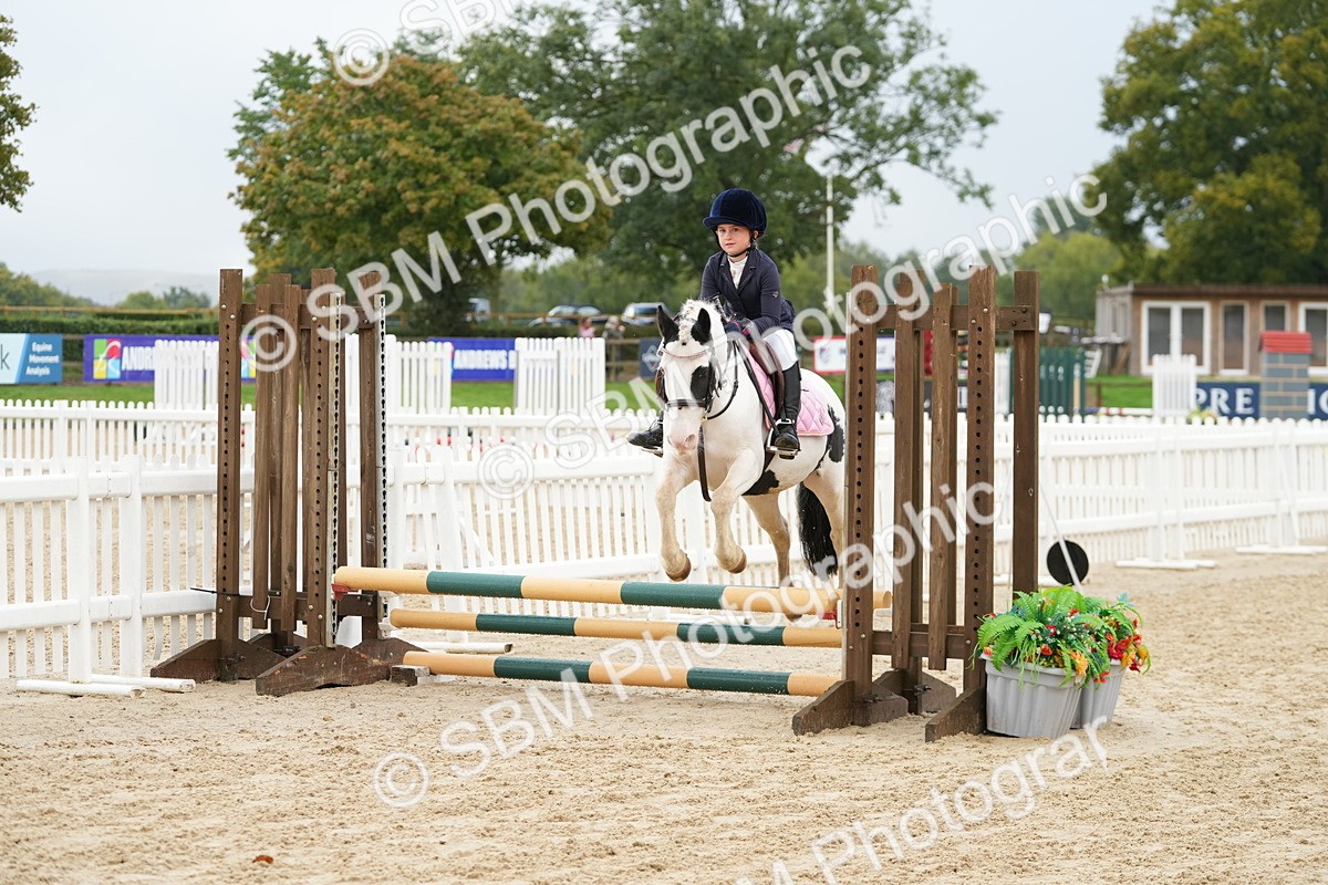 SBM_32455 - J5 - Junior Pony 50cm Championship