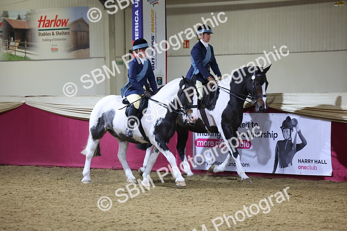 0B8A4313 - Class M Ridden Pairs Champ