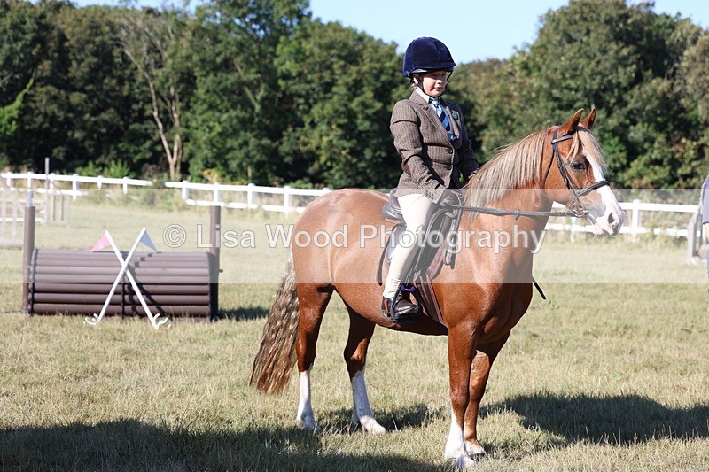 3E7A5375 - Class 2: Working Hunter 60cm