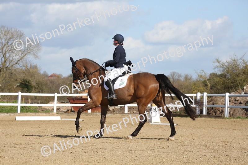 20260314-4112 - CT4 - Novice 1