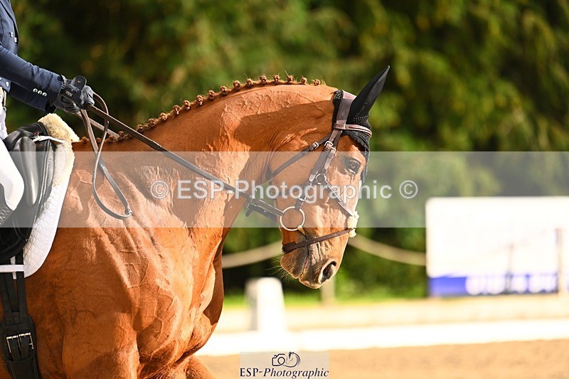 231021-154044-20927 - 260-LIGHTNIN.CONDUCTOR-Angus.Stewart-DR