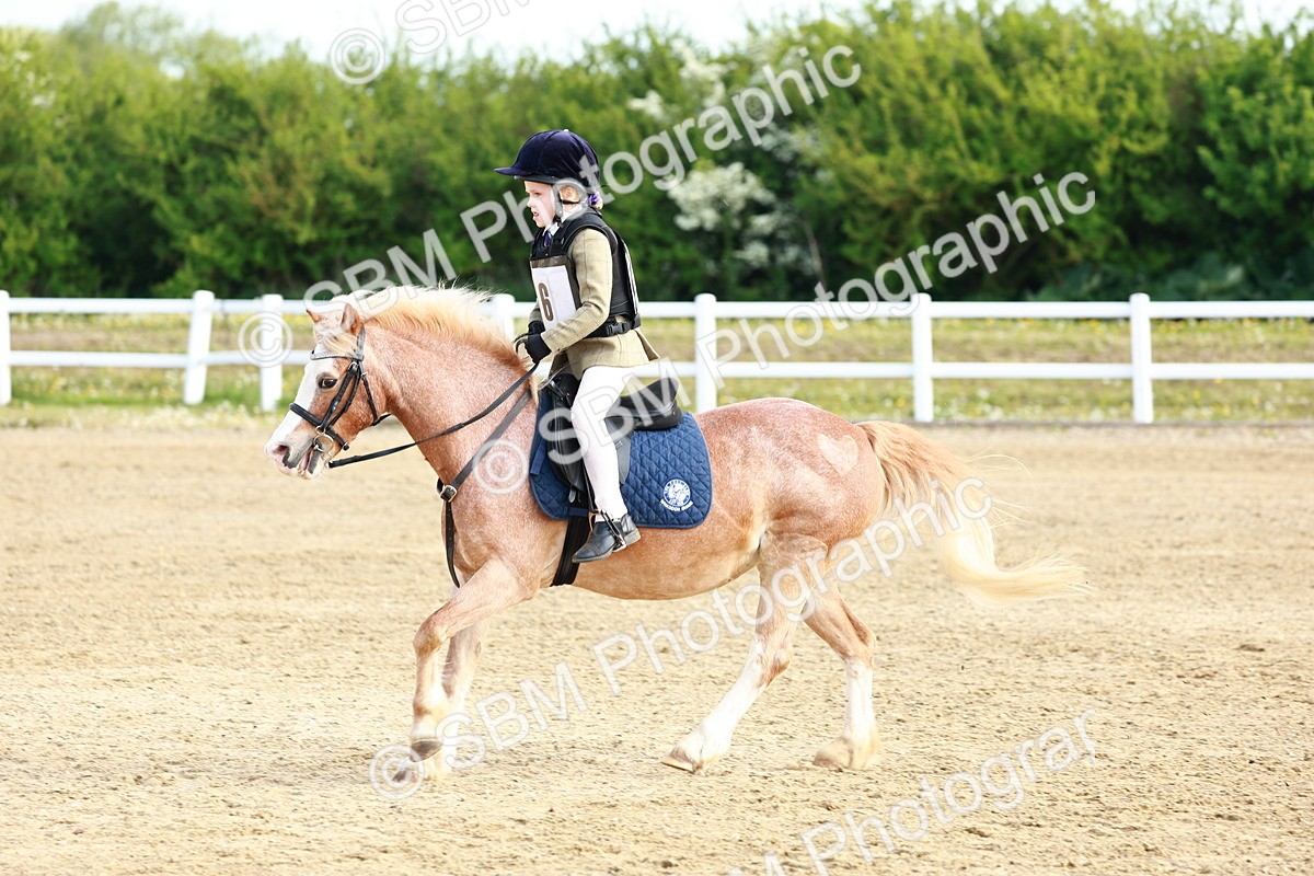 SBM_006358 - Class 1 - 40cm