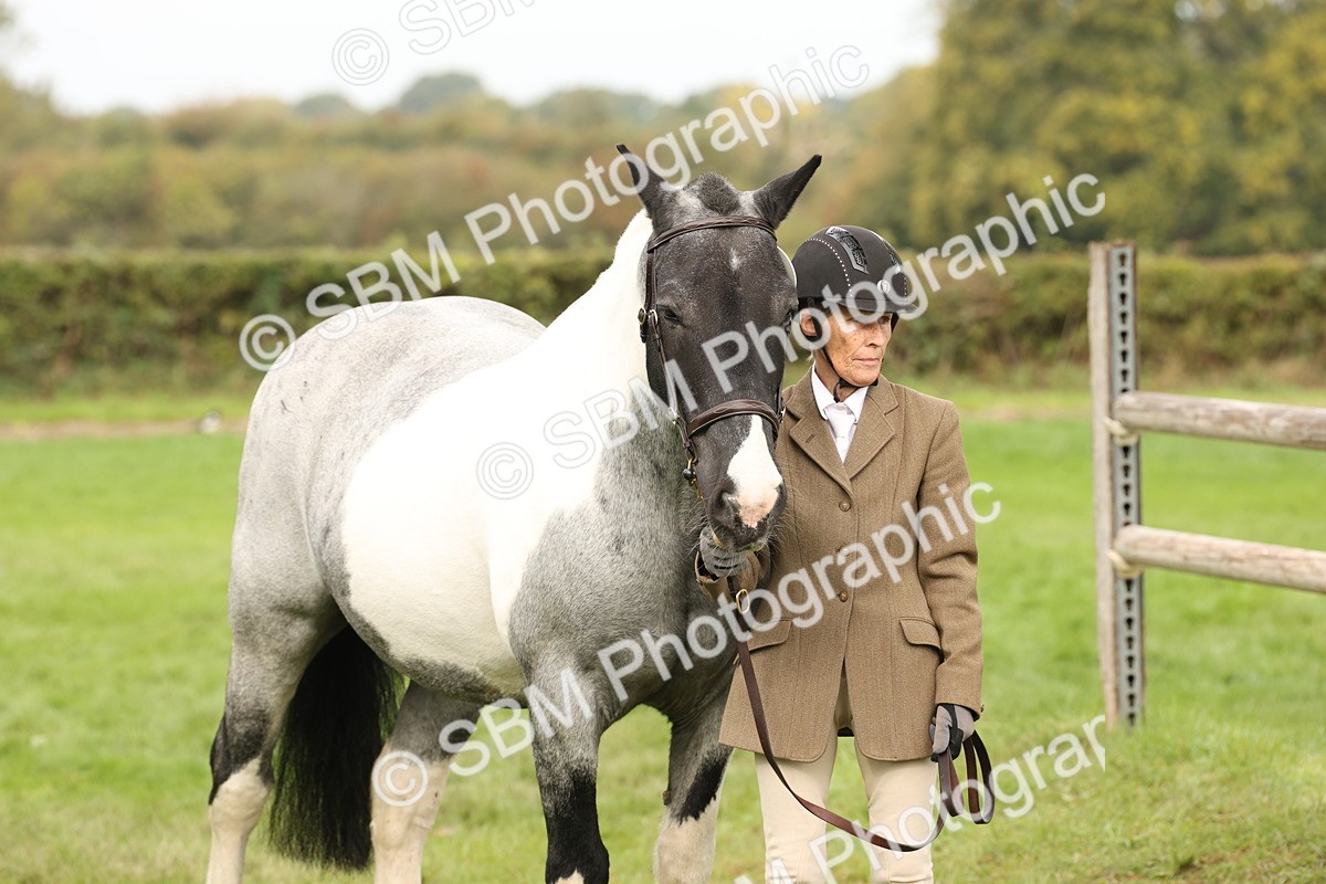 SBM_57524 - S56 - Show Cob in Hand