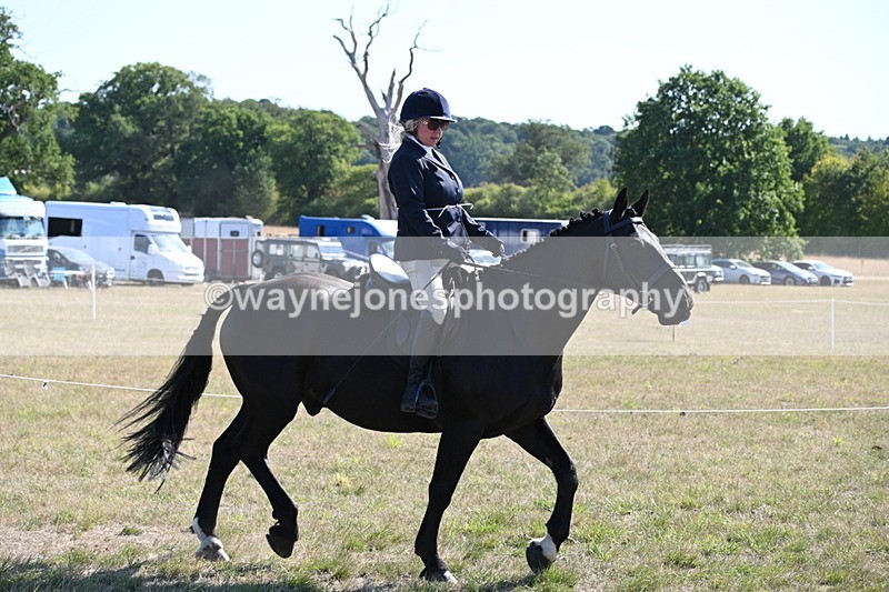 WJ6_7469 - Class 34 Judges Choice