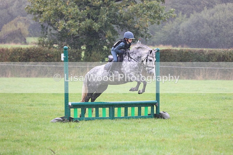 JPP_5142 - Class 1: 65cm : Showjumping