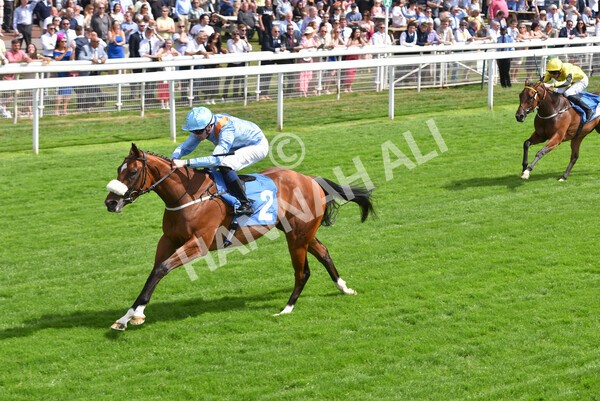 yr08072022r3-24 - Race 3 3.15pm William Hill Play Responsibly Irish EBF Novice Fillies Stakes