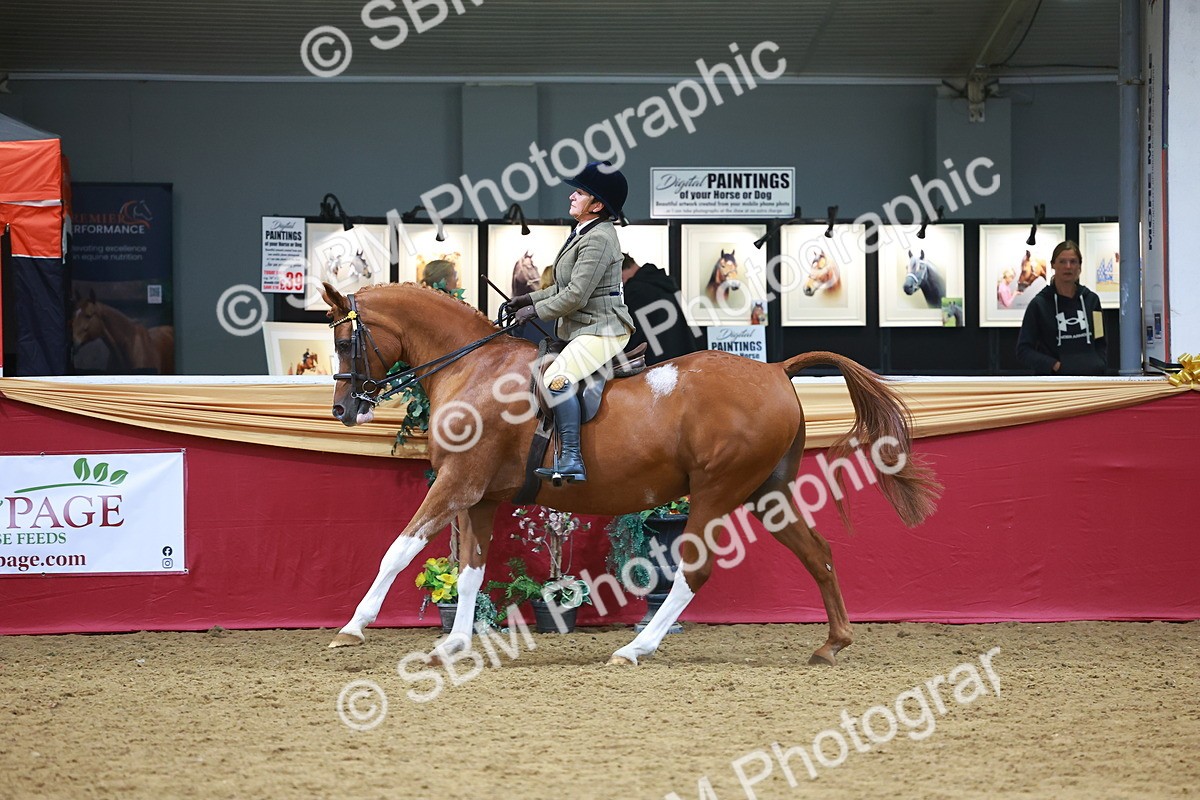 SBM_06095 - Class 12R - Ridden Pre-Vet