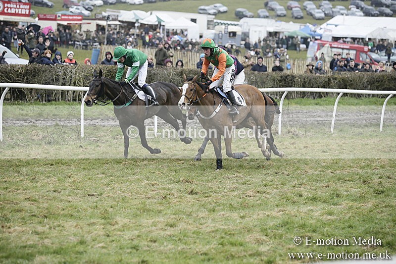 PtP 020418 -253 - Old Berks Point-to-Point Races Easter Monday 02/04/18