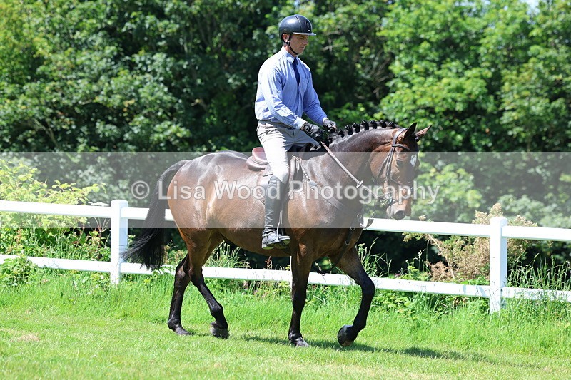3E7A7170 - Class 30: Novice Working Hunter