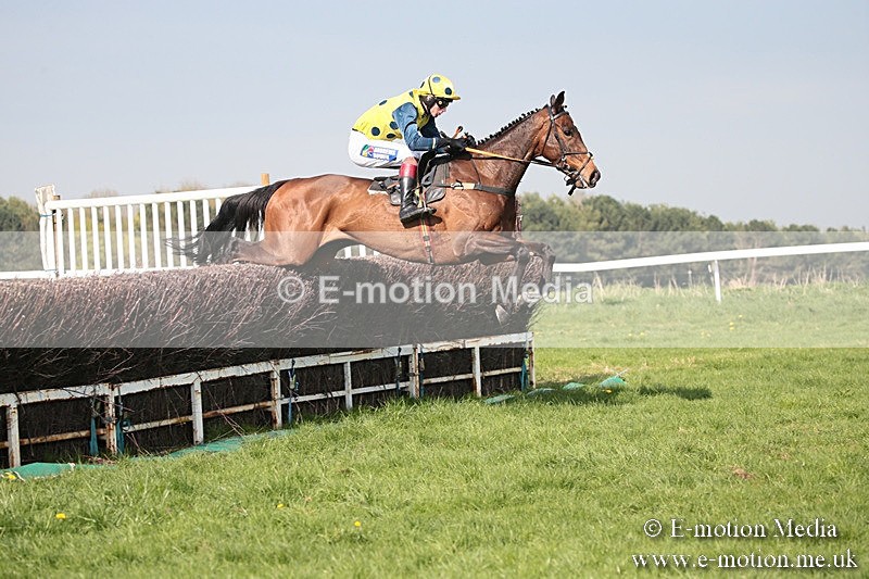 PtP 210418 449 - South & West Wilts Point-to-Point Larkhill 21/04/18