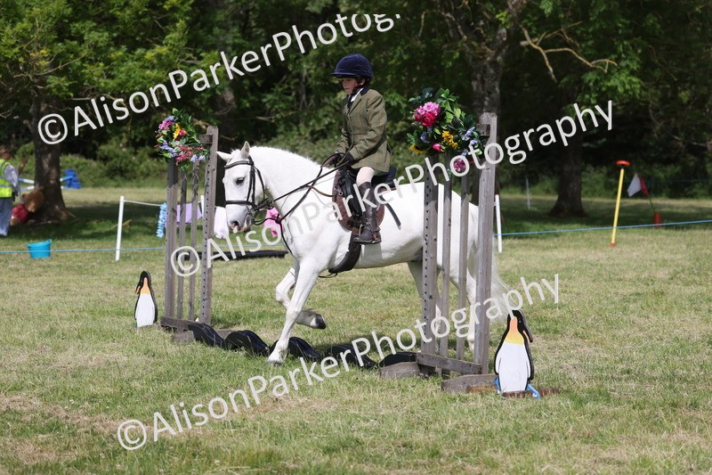 20260614-0653 - Class 20 - Beginners Working Hunter Pony