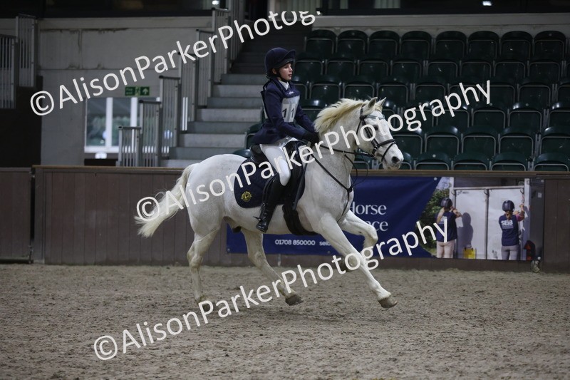 20260125-5055 - Class 5 - 80cm