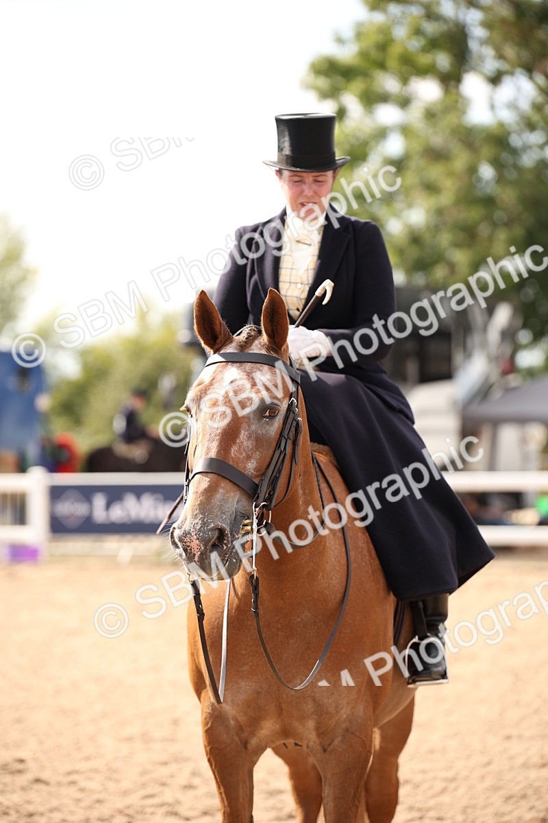 SBM_06783 - Class 24 Concours d'elegance