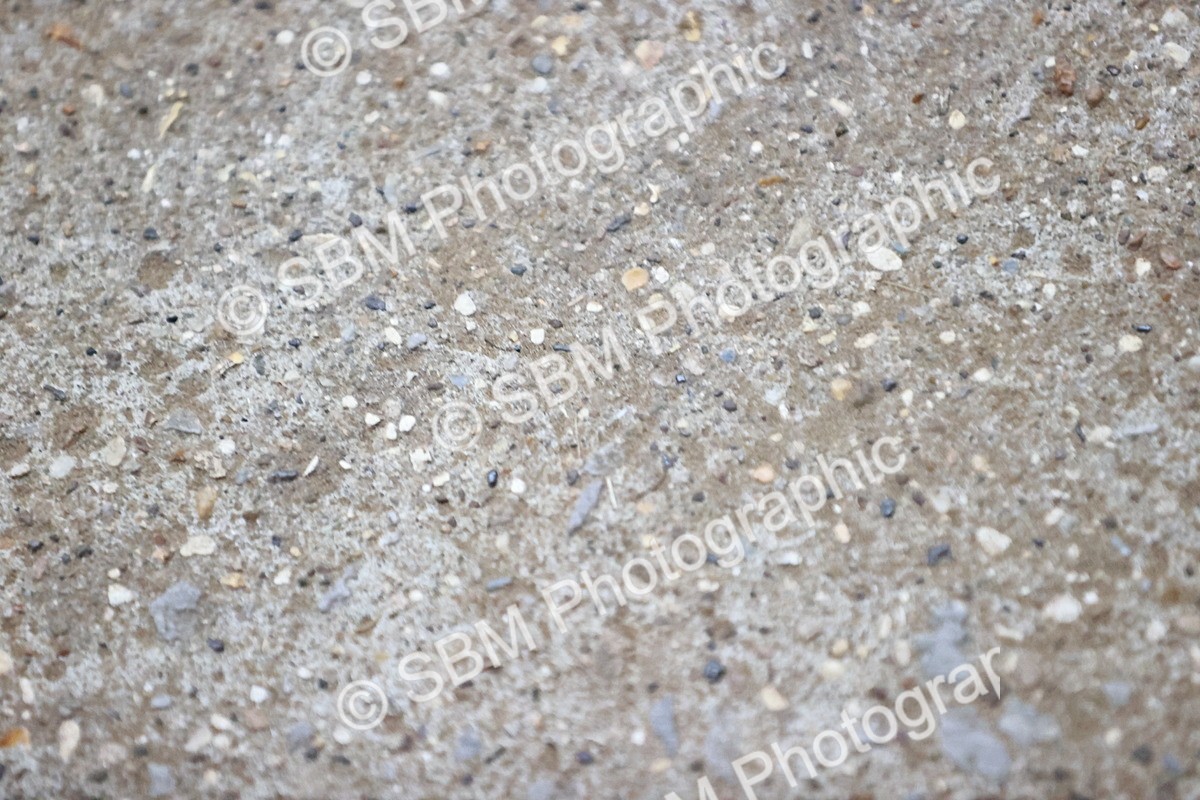 SBM_002657 - Class 16-23 - AM5-FEI GP