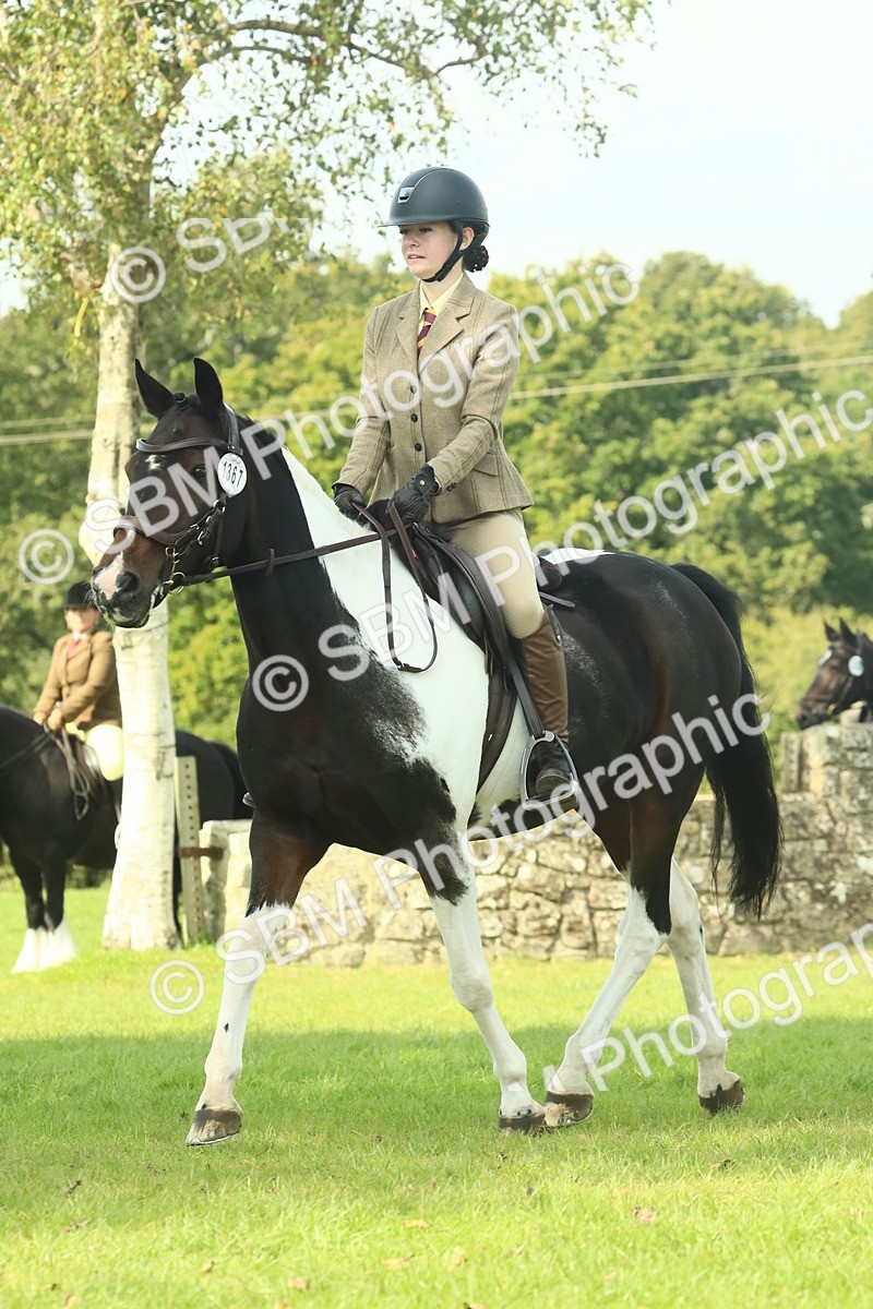 SBM_66526 - S34 - Rehabilitated Rescue Horse & Pony In Hand & Ridden