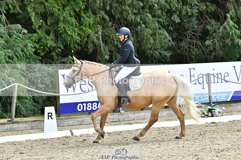 260801A-123714-04021 - Prelim Bronze Break - End