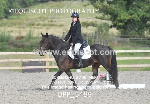 BPP_5489 - INTRO TEST 3