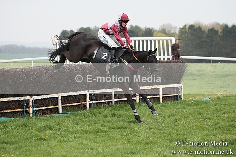 PtP 210418 80 - South & West Wilts Point-to-Point Larkhill 21/04/18