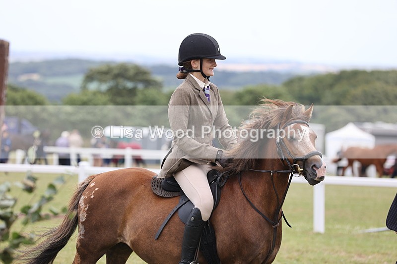 JPP_1702 - Class 18: Tiny Tots Working Hunter Pony