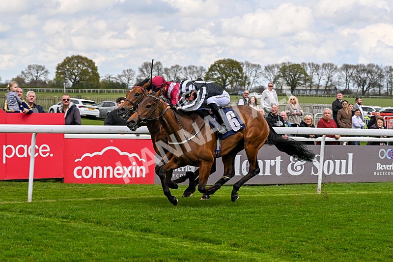 150426-Race 1-Thankfully-4665 - Race 1